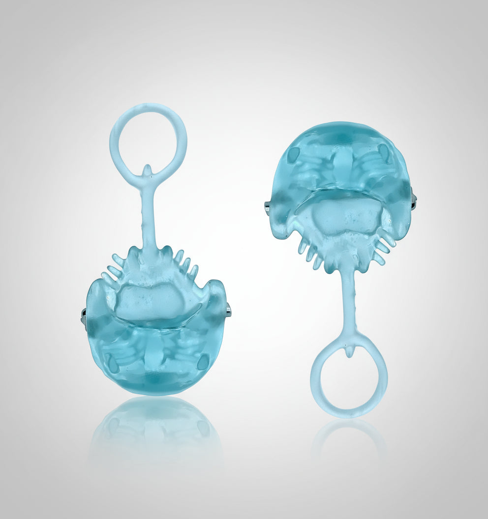 Horseshoe Crab - Pin/Magnet