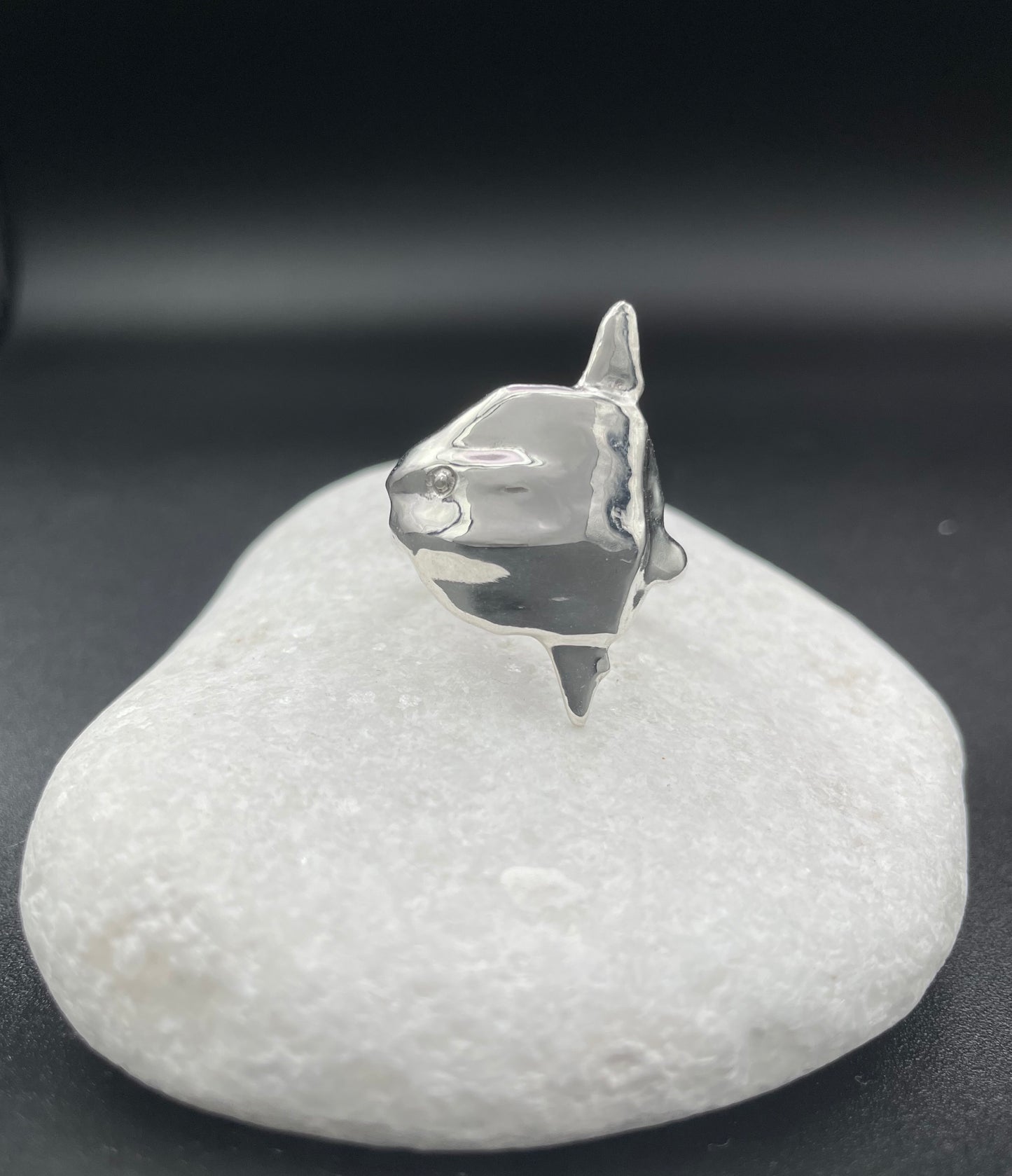 Mola Mola