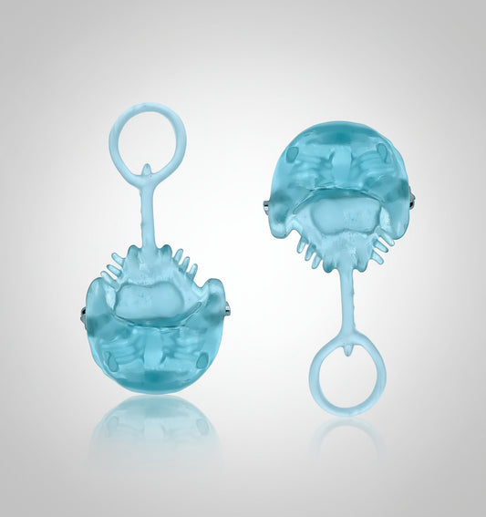 Horseshoe Crab - Pin/Magnet