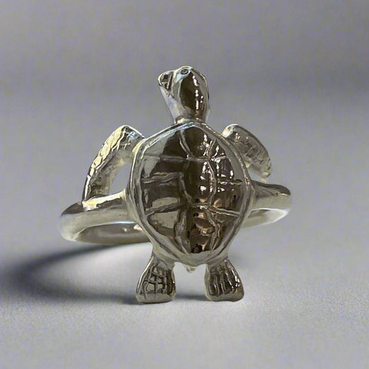 Turtle